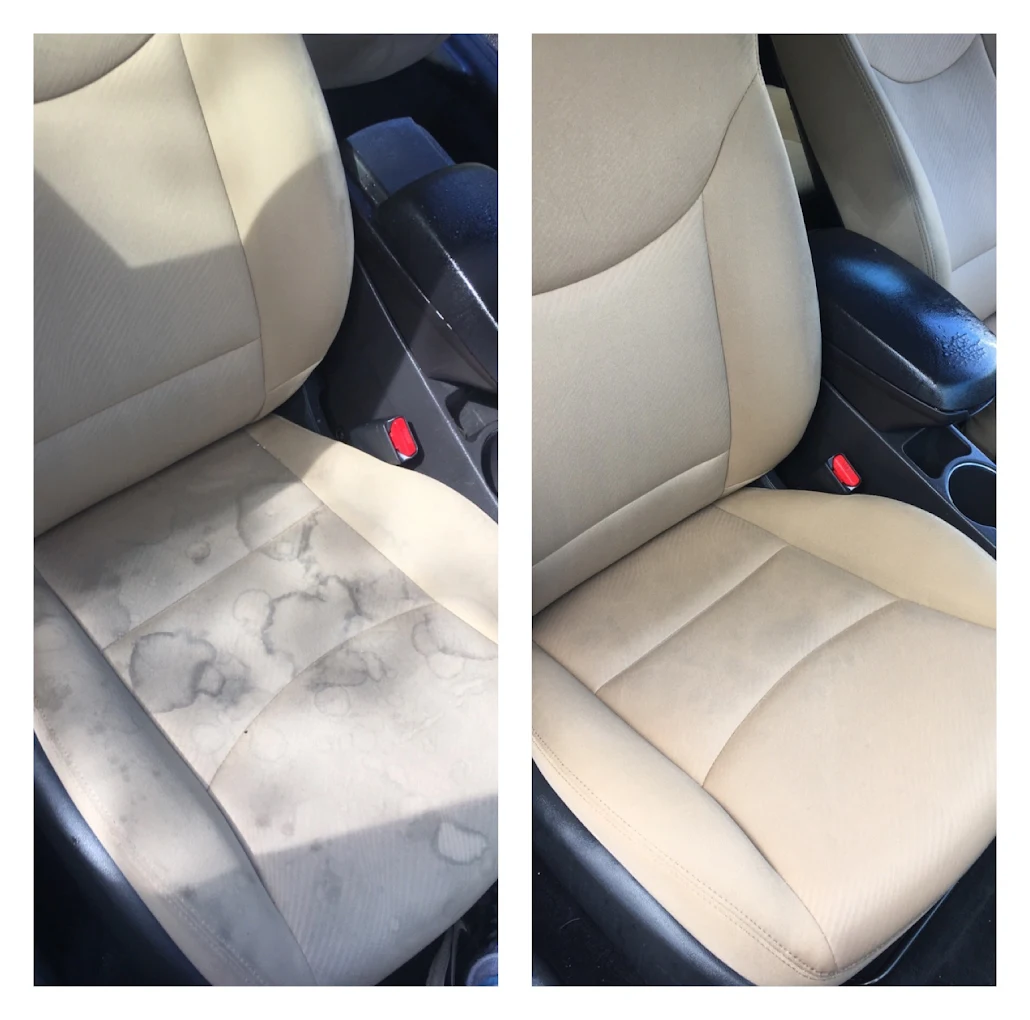 Professional carpet cleaning results